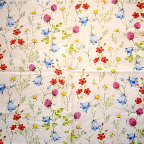348 Daisies - 3-ply - CS